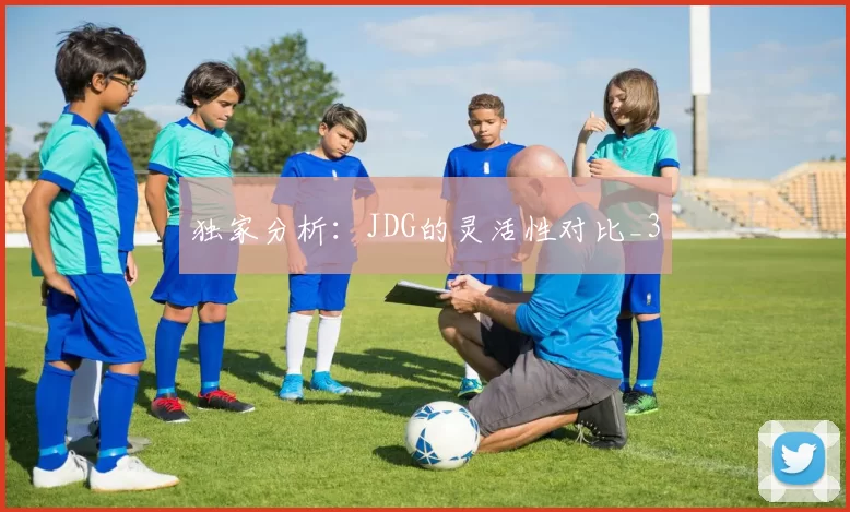 独家分析：JDG的灵活性对比_3