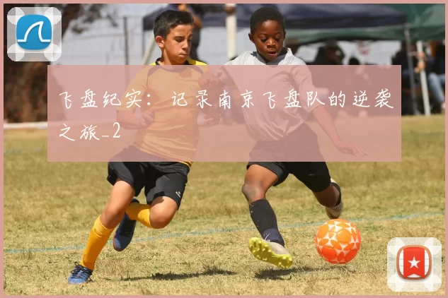飞盘纪实：记录南京飞盘队的逆袭之旅_2