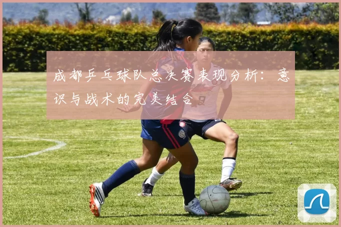 成都乒乓球队总决赛表现分析：意识与战术的完美结合