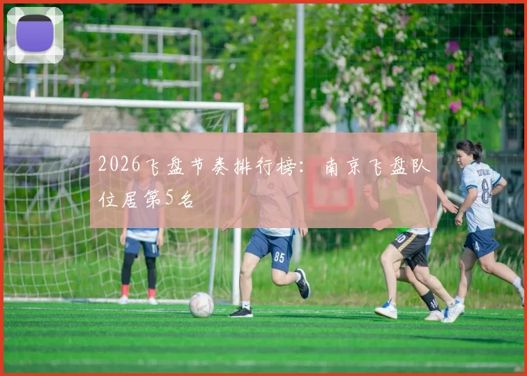 2026飞盘节奏排行榜：南京飞盘队位居第5名