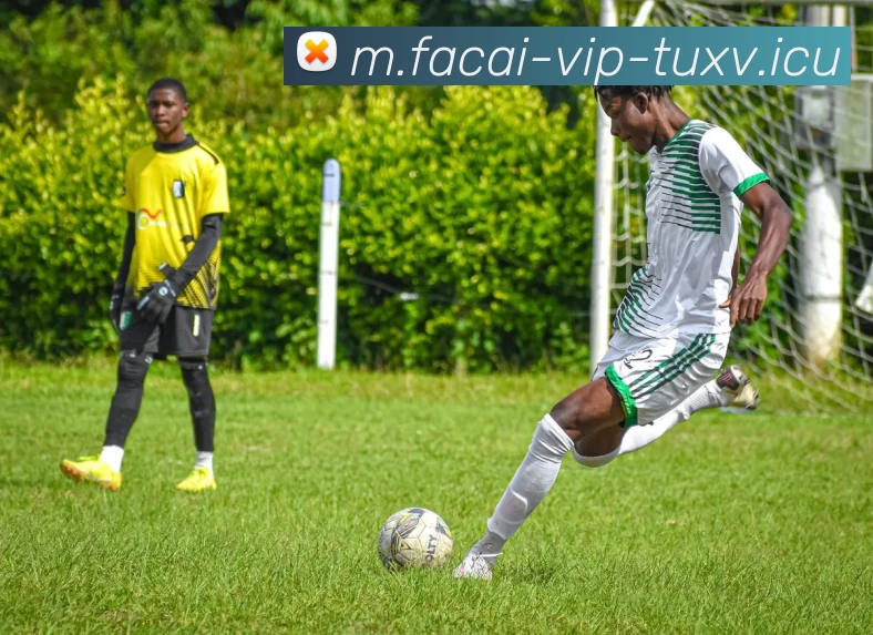 tag/[--tagid--].html服务体系